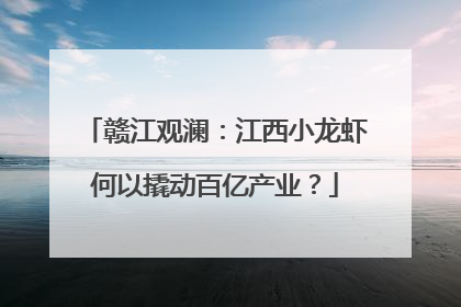 赣江观澜：江西小龙虾何以撬动百亿产业？
