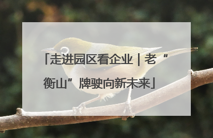 走进园区看企业｜老“衡山”牌驶向新未来