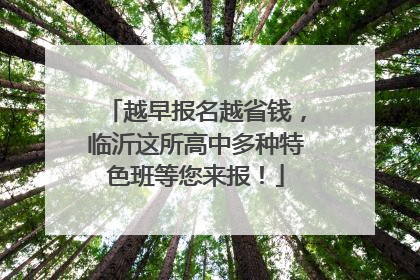 越早报名越省钱，临沂这所高中多种特色班等您来报！
