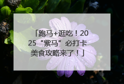跑马+逛吃！2025“紫马”必打卡美食攻略来了！