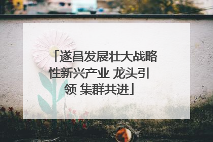 遂昌发展壮大战略性新兴产业 龙头引领 集群共进