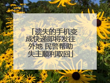 遗失的手机变成快递即将发往外地 民警帮助失主顺利取回