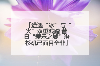 遭遇“冰”与“火”双重践踏 昔日“爱乐之城”洛杉矶已面目全非