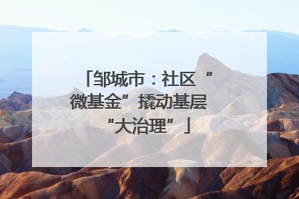邹城市：社区“微基金”撬动基层“大治理”