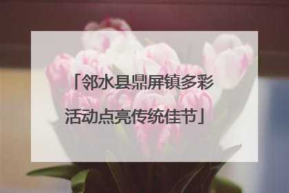 邻水县鼎屏镇多彩活动点亮传统佳节