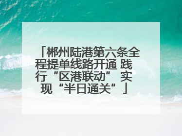 郴州陆港第六条全程提单线路开通 践行“区港联动” 实现“半日通关”