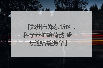 郑州市郑东新区：科学养护绘荷韵 盛景迎客绽芳华