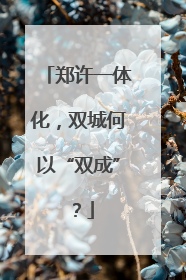 郑许一体化，双城何以“双成”？