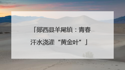 郧西县羊尾镇：青春汗水浇灌“黄金叶”
