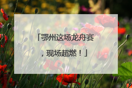 鄂州这场龙舟赛，现场超燃！