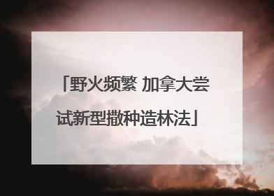 野火频繁 加拿大尝试新型撒种造林法