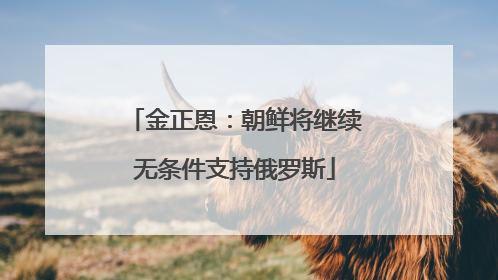 金正恩：朝鲜将继续无条件支持俄罗斯
