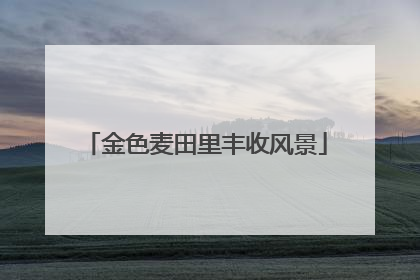 金色麦田里丰收风景
