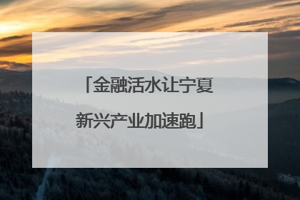 金融活水让宁夏新兴产业加速跑