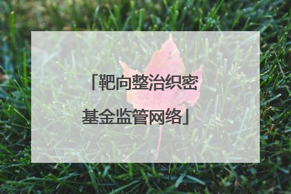 靶向整治织密基金监管网络