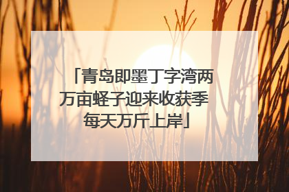 青岛即墨丁字湾两万亩蛏子迎来收获季 每天万斤上岸