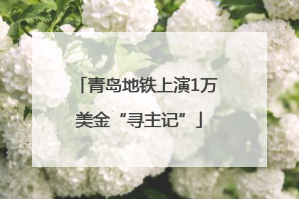 青岛地铁上演1万美金“寻主记”