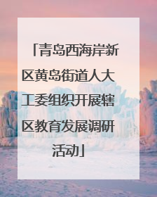 青岛西海岸新区黄岛街道人大工委组织开展辖区教育发展调研活动