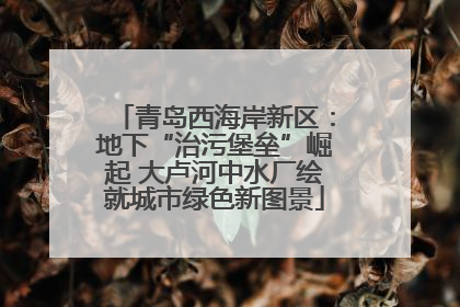 青岛西海岸新区：地下“治污堡垒”崛起 大卢河中水厂绘就城市绿色新图景