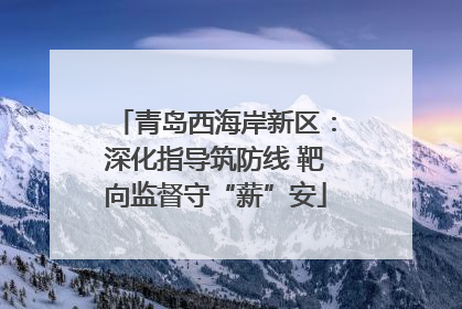 青岛西海岸新区：深化指导筑防线 靶向监督守“薪”安