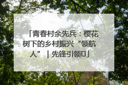 青春村余先兵：樱花树下的乡村振兴“领航人”｜先锋引领⑪