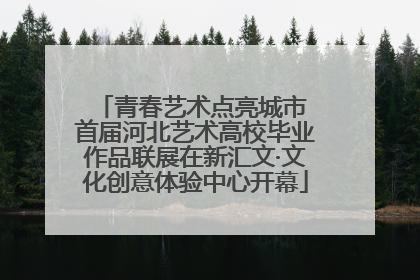 青春艺术点亮城市 首届河北艺术高校毕业作品联展在新汇文·文化创意体验中心开幕