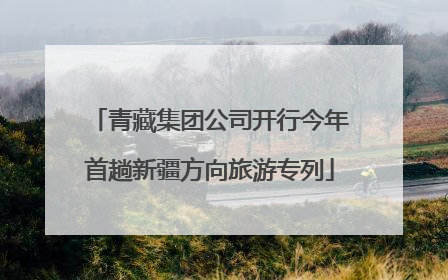 青藏集团公司开行今年首趟新疆方向旅游专列