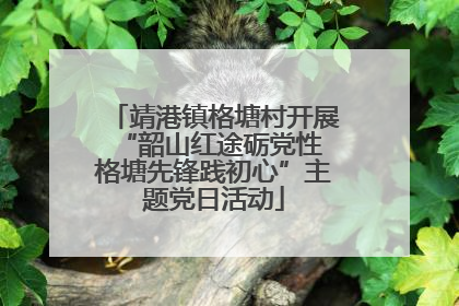 靖港镇格塘村开展“韶山红途砺党性 格塘先锋践初心”主题党日活动