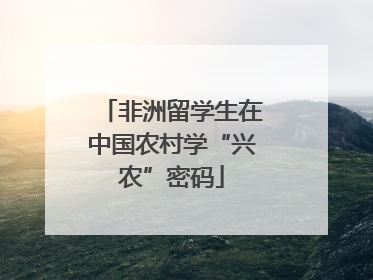 非洲留学生在中国农村学“兴农”密码