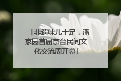 非遗味儿十足，潘家园首届京台民间文化交流周开幕
