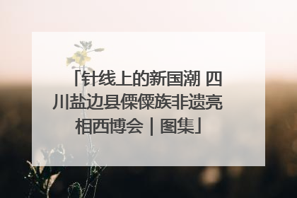 针线上的新国潮 四川盐边县傈僳族非遗亮相西博会｜图集