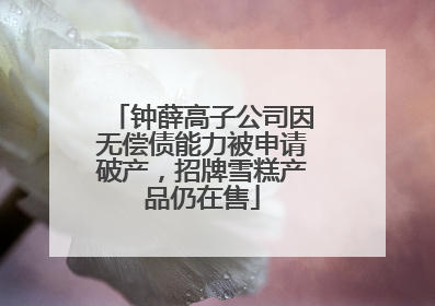 钟薛高子公司因无偿债能力被申请破产，招牌雪糕产品仍在售