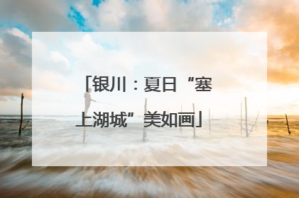 银川：夏日“塞上湖城”美如画