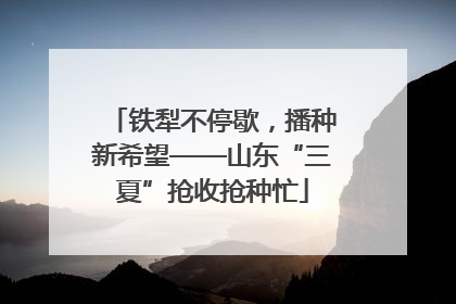 铁犁不停歇，播种新希望——山东“三夏”抢收抢种忙