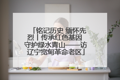 铭记历史 缅怀先烈丨传承红色基因 守护绿水青山——访辽宁宽甸革命老区