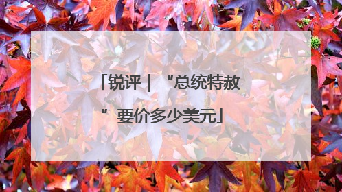 锐评｜“总统特赦”要价多少美元
