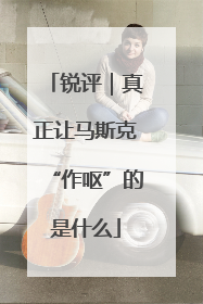 锐评｜真正让马斯克“作呕”的是什么