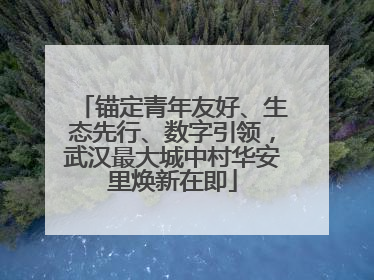 锚定青年友好、生态先行、数字引领，武汉最大城中村华安里焕新在即