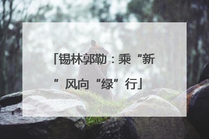 锡林郭勒：乘“新”风向“绿”行