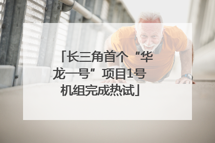 长三角首个“华龙一号”项目1号机组完成热试