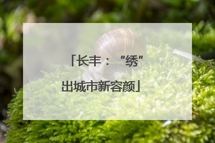长丰：“绣”出城市新容颜