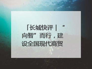 长城快评｜“向智”而行，建设全国现代商贸物流重要基地