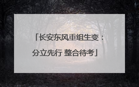 长安东风重组生变：分立先行 整合待考