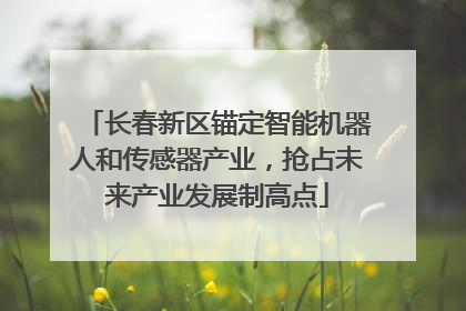 长春新区锚定智能机器人和传感器产业，抢占未来产业发展制高点