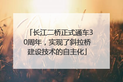长江二桥正式通车30周年，实现了斜拉桥建设技术的自主化