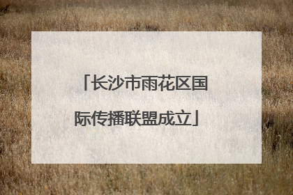 长沙市雨花区国际传播联盟成立
