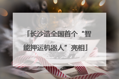 长沙造全国首个“智能押运机器人”亮相