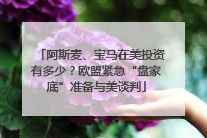阿斯麦、宝马在美投资有多少？欧盟紧急“盘家底”准备与美谈判