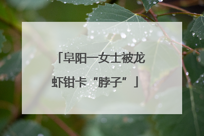 阜阳一女士被龙虾钳卡“脖子”