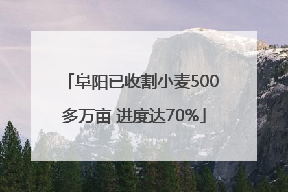 阜阳已收割小麦500多万亩 进度达70%